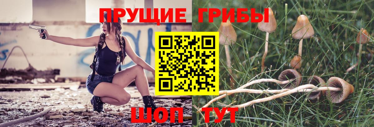 Галлюциногенные грибы GOLDEN TEACHER Воронеж