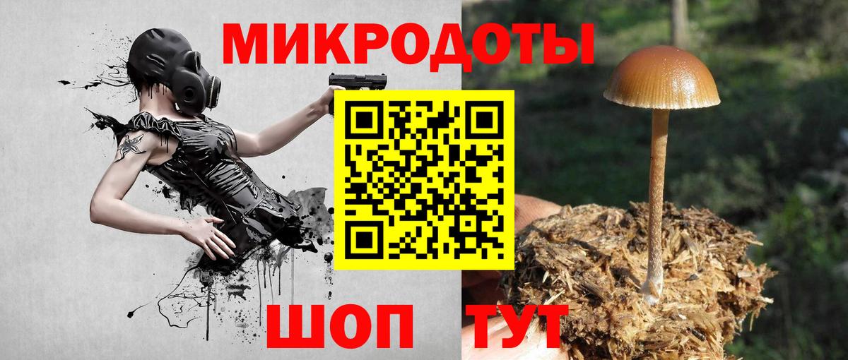 Галлюциногенные грибы MAGIC MUSHROOMS  Вход с VPN  Воронеж  Галлюциногенные грибы Cubensis 